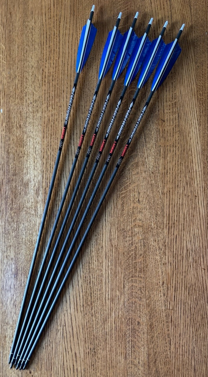 Fleetwood 500 Legion arrows