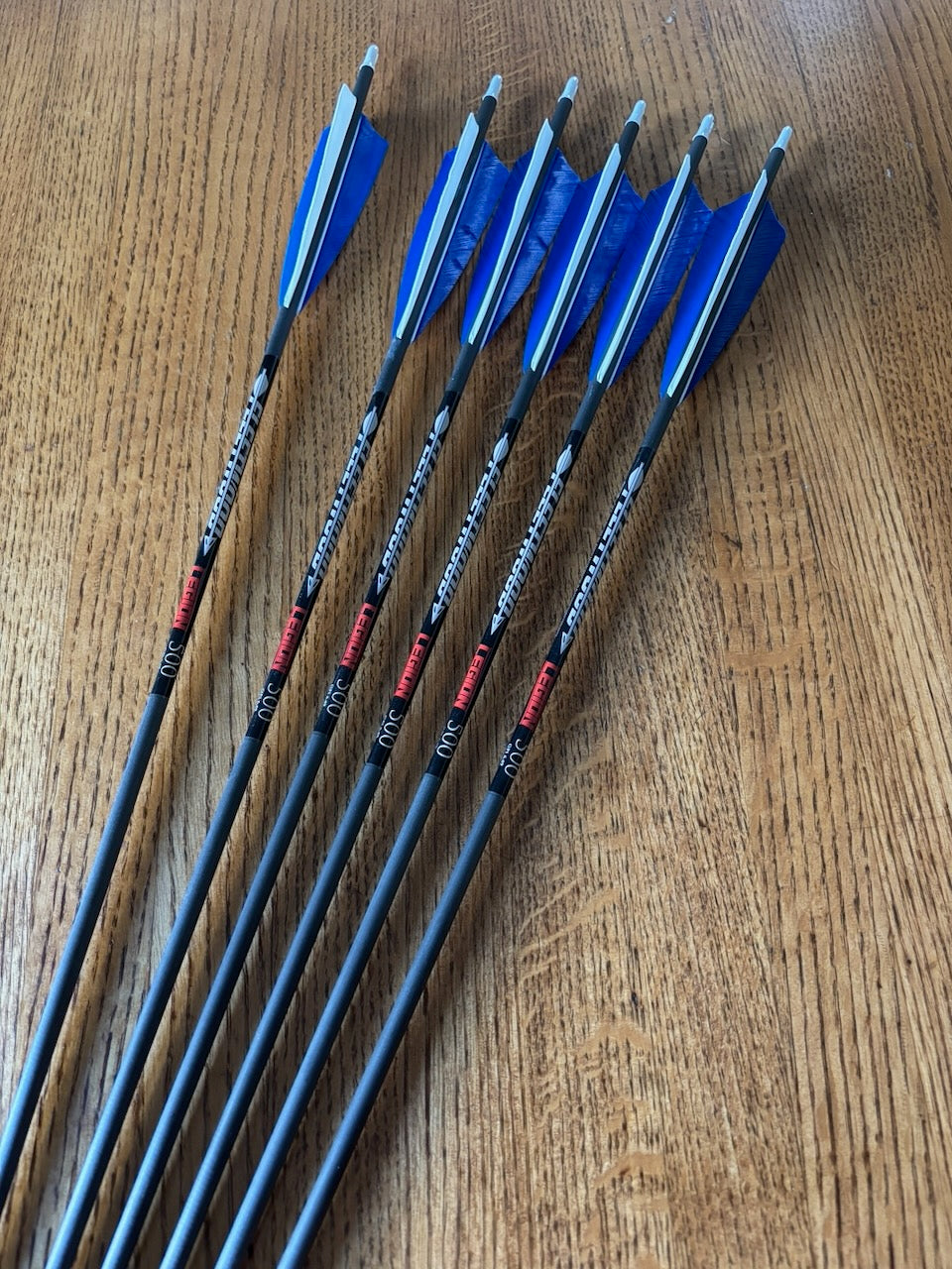 Fleetwood 500 Legion arrows