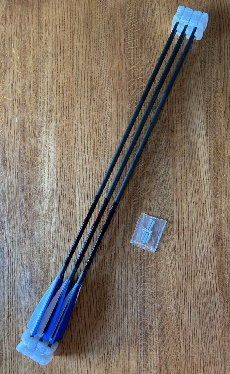 Fleetwood 500 Legion arrows